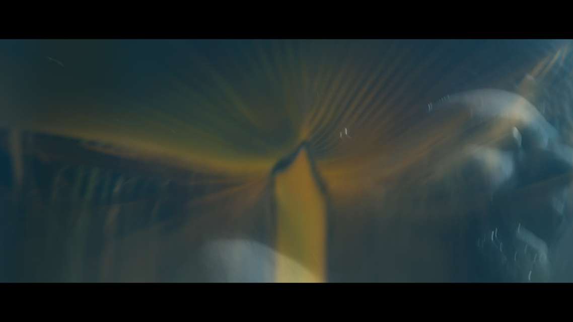 Mykonos Biennale 2015 - Film Festival -  self-portrait - screen shot