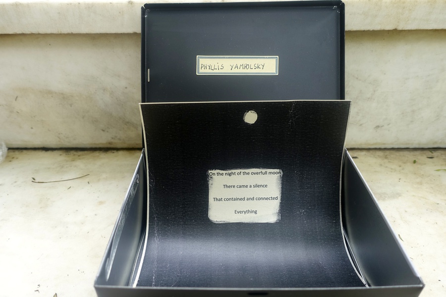 Mykonos Biennale  -  Antidote Box - screen shot