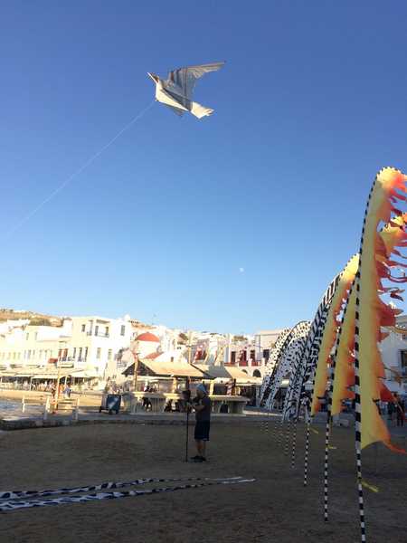 Mykonos Biennale -  -  