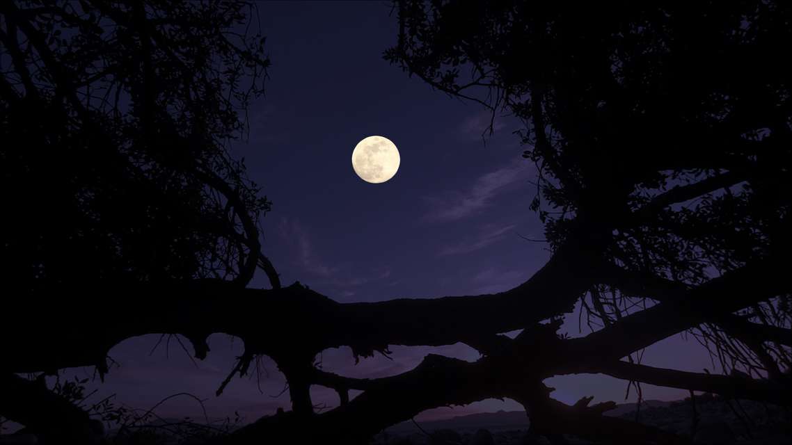 Mykonos Biennale 2015 - Film Festival -  When I was the moon - screen shot
