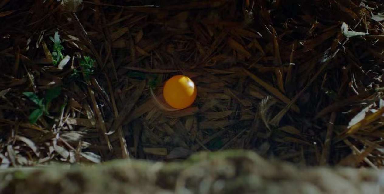 Mykonos Biennale 2015 - Film Festival -  Egg - screen shot