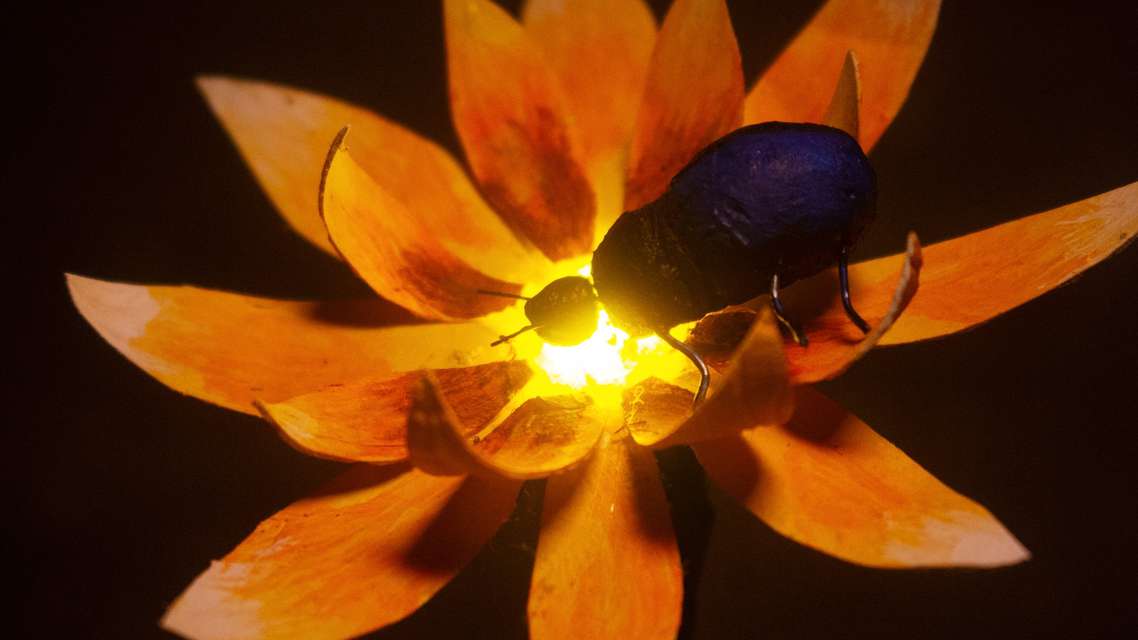 Mykonos Biennale 2015 - Film Festival -  The First Gardener - screen shot