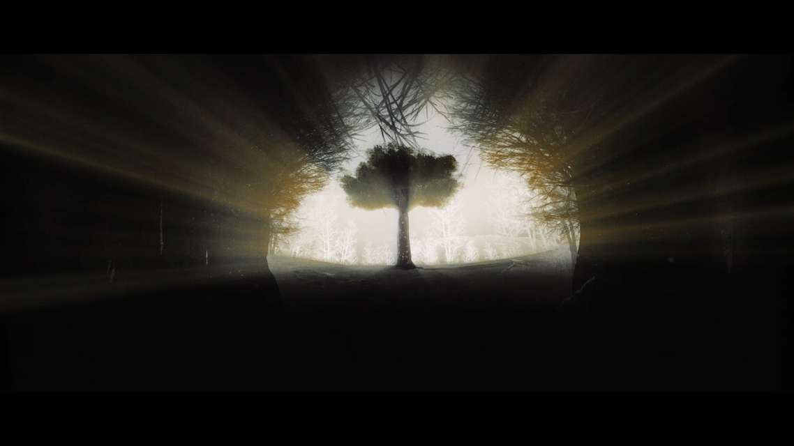 Mykonos Biennale 2015 - Film Festival -  The Tree of Numbers - screen shot