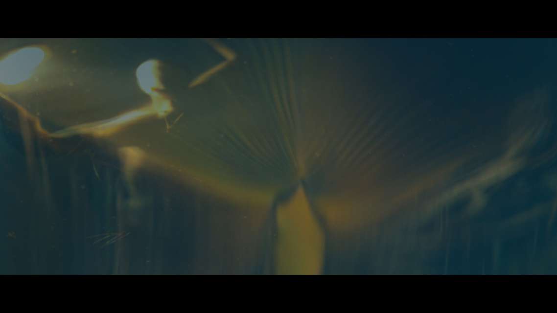Mykonos Biennale 2015 - Film Festival -  self-portrait - screen shot
