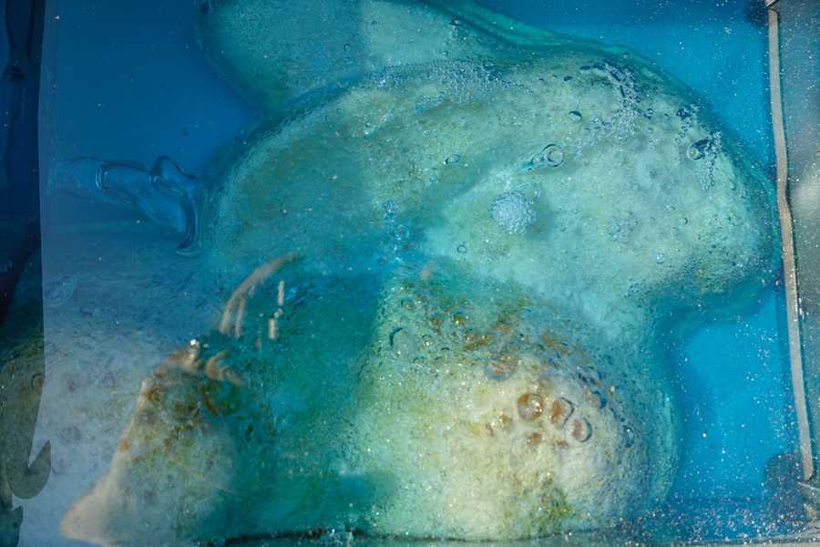 Mykonos Biennale -  -  