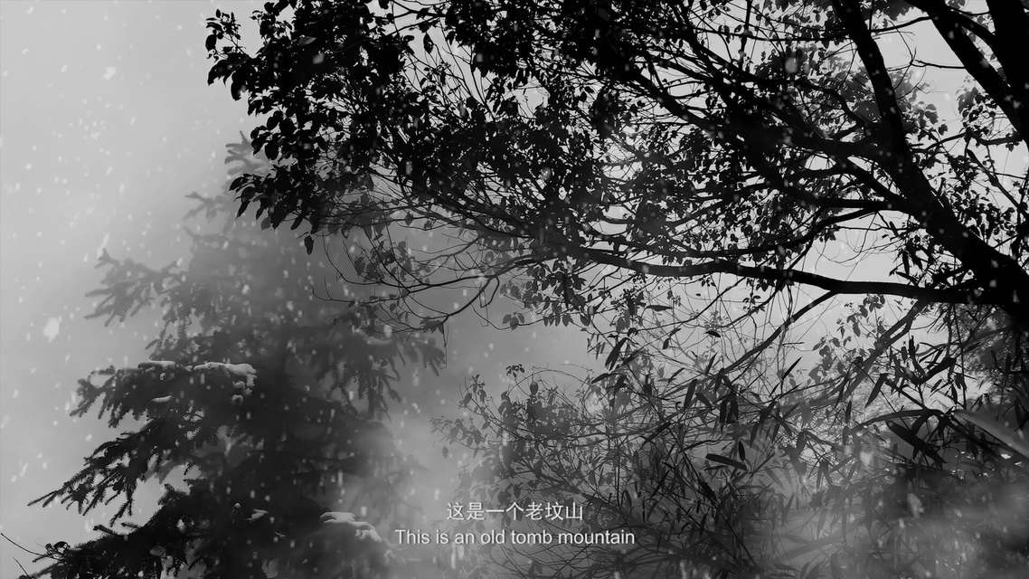 Mykonos Biennale 2015 - Film Festival -  Elegy for a village - screen shot