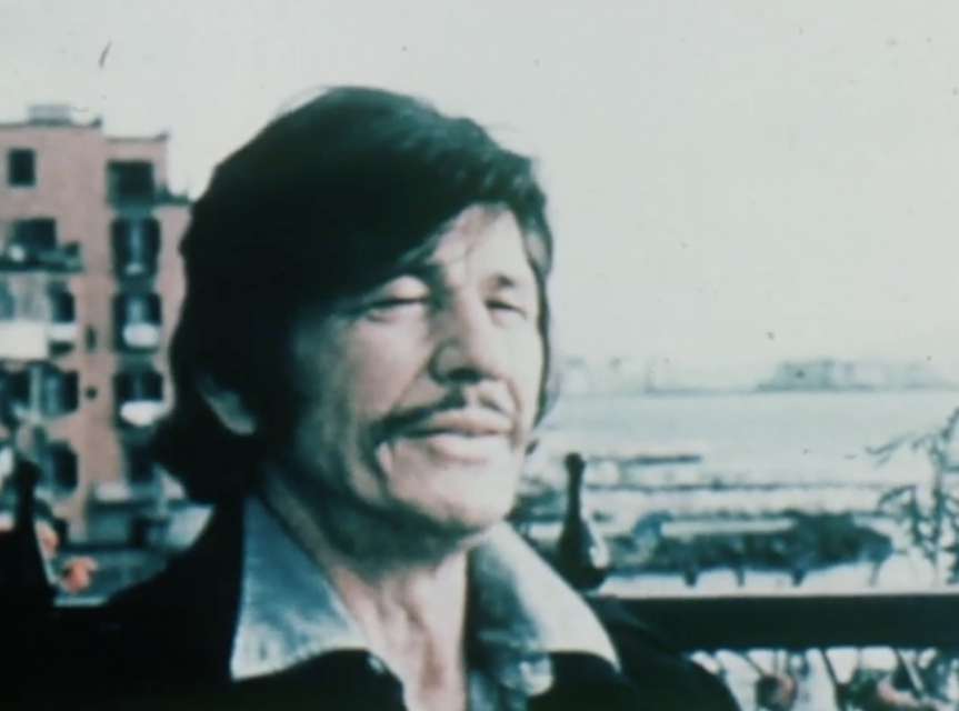 Mykonos Biennale 2015 - Film Festival -  the politics of perception - screen shot