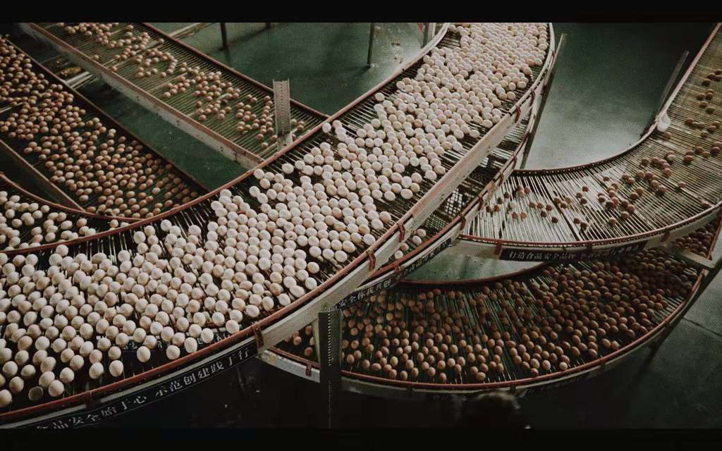 Mykonos Biennale 2015 - Film Festival -  Egg - screen shot
