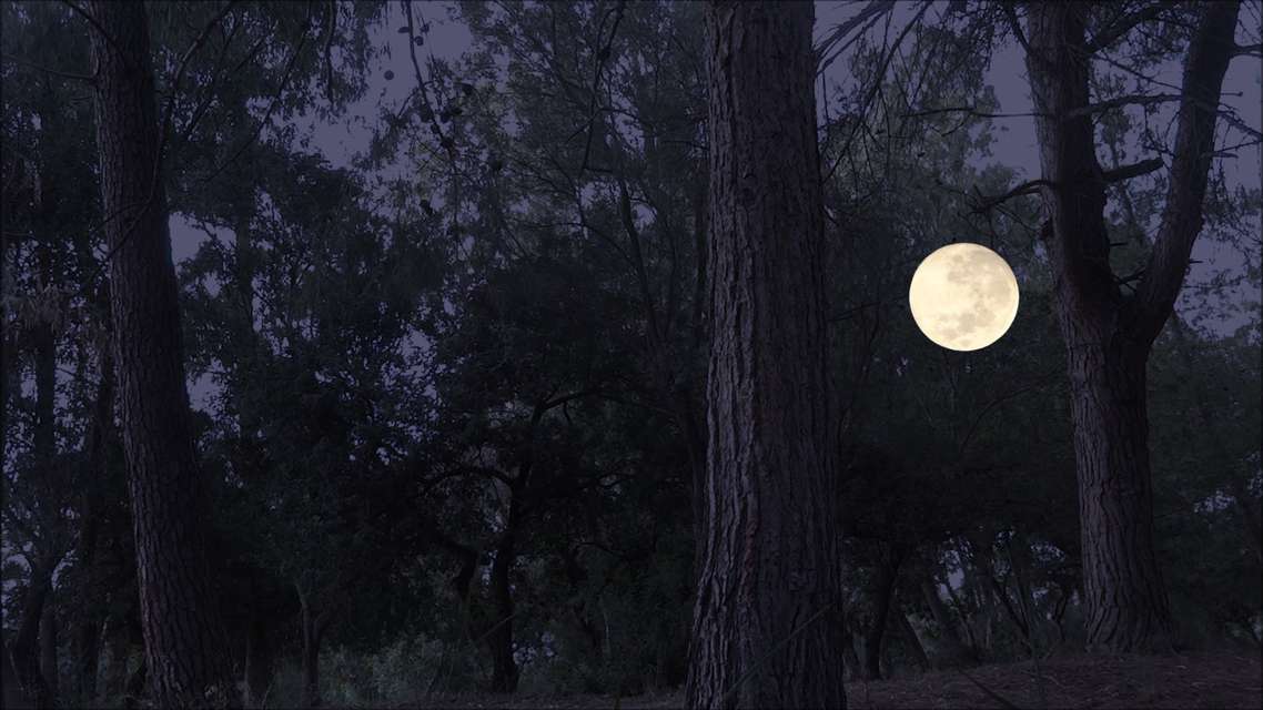 Mykonos Biennale 2015 - Film Festival -  When I was the moon - screen shot