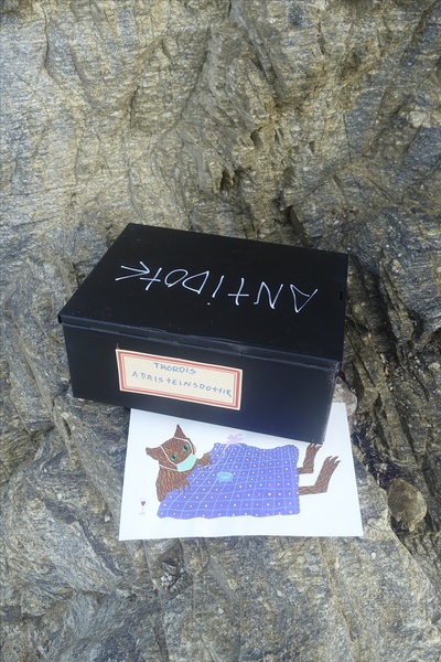 Mykonos Biennale  -  Antidote Box - screen shot