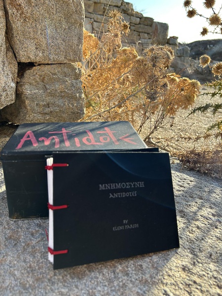 Mykonos Biennale  -  Antidote Box - screen shot