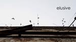 Elusive Poster