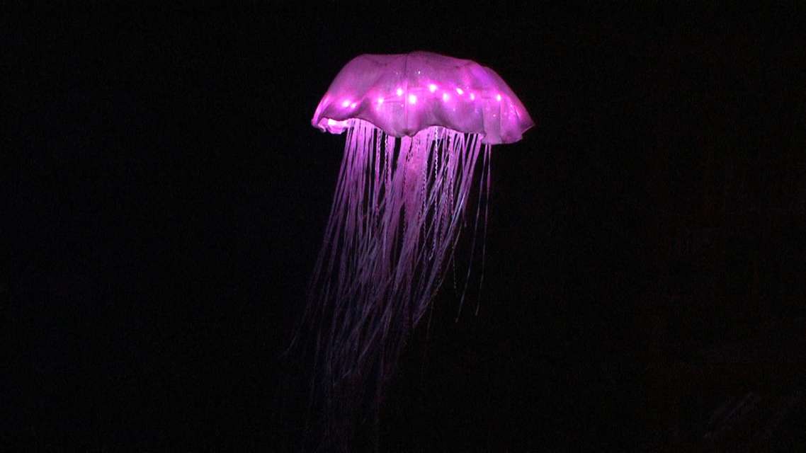 Mykonos Biennale 2015 - Film Festival -  jellyfish - screen shot