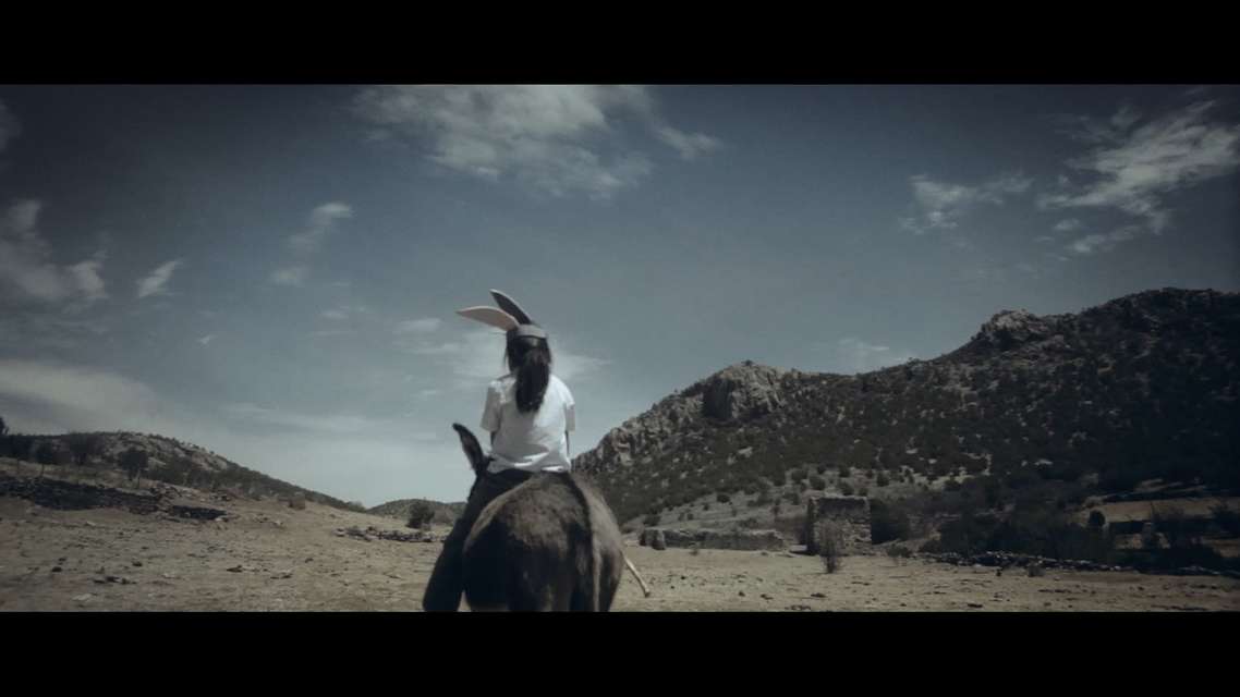 Mykonos Biennale 2015 - Film Festival -  The Tree of Numbers - screen shot