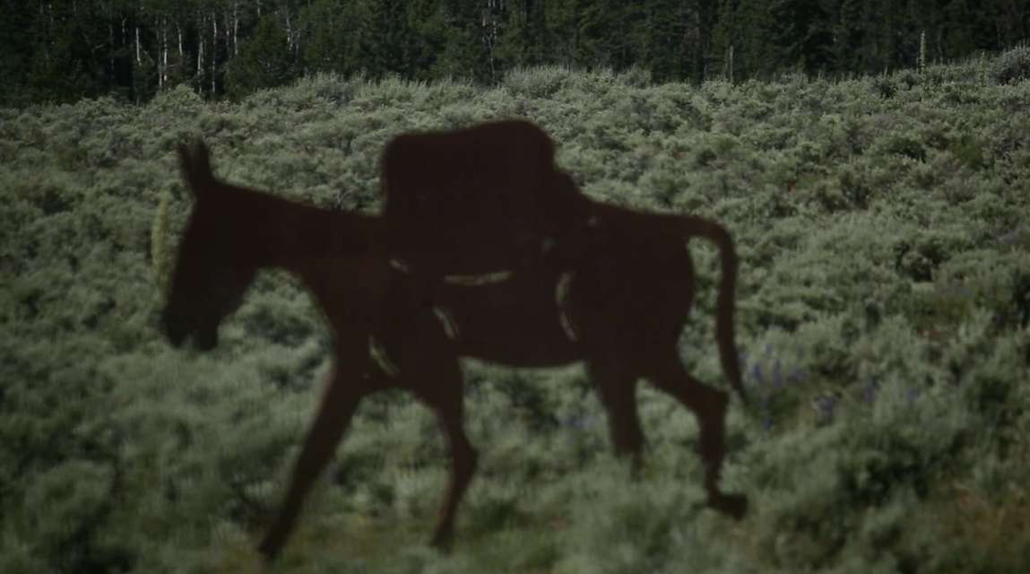 Mykonos Biennale 2015 - Film Festival -  The Trembling Giant - screen shot