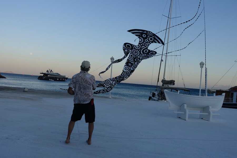 Mykonos Biennale -  -  