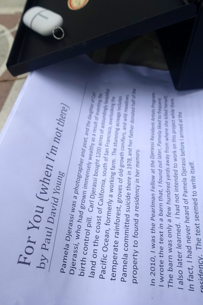 Mykonos Biennale  -  Antidote Box-For You (When I'm Not There) - screen shot