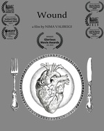 Wound Poster