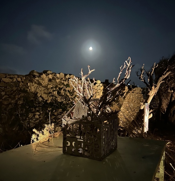 Mykonos Biennale  -  Dionysian House, 2023 - screen shot