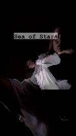 Sea of Stars  Poster