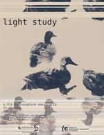 Light Study Poster