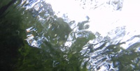 In the River's Flow Poster