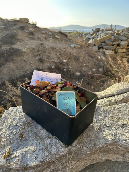 Mykonos Biennale  -  Antidote Box - screen shot