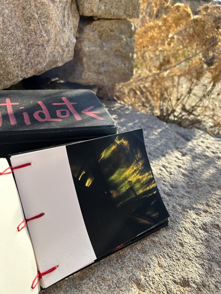 Mykonos Biennale  -  Antidote Box - screen shot