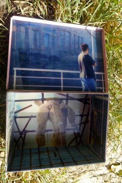 Mykonos Biennale  -  Antidote Box - screen shot