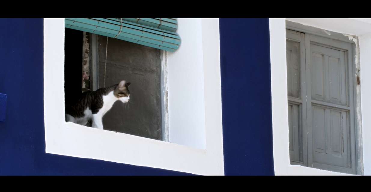 Mykonos Biennale 2015 - Film Festival -  Love at First Sight - screen shot