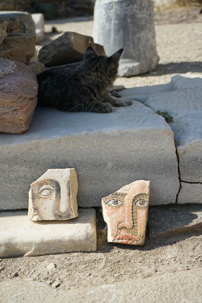 Mykonos Biennale  -  Antidote - screen shot