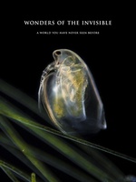 Wonders of the invisible. A world you have never seen before Poster