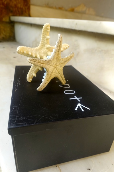 Mykonos Biennale  -  Antidote Box - screen shot