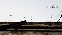 Elusive Poster