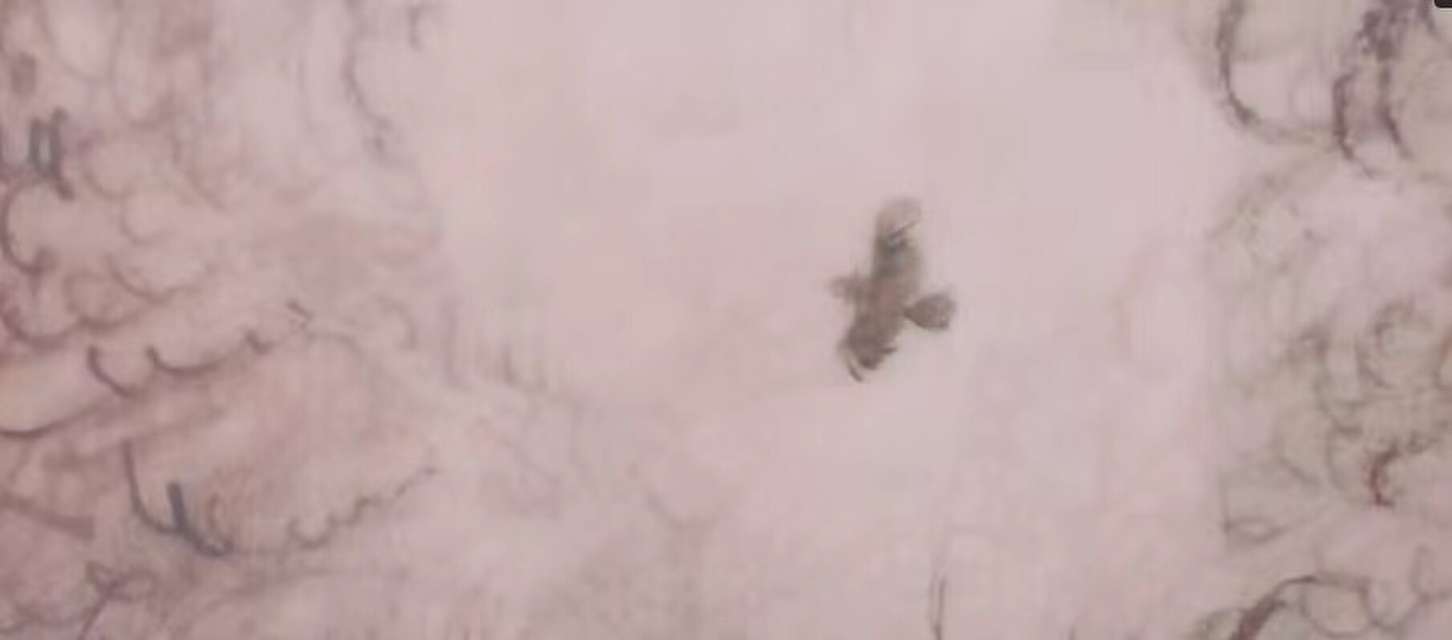 Mykonos Biennale 2015 - Film Festival -  Egg - screen shot