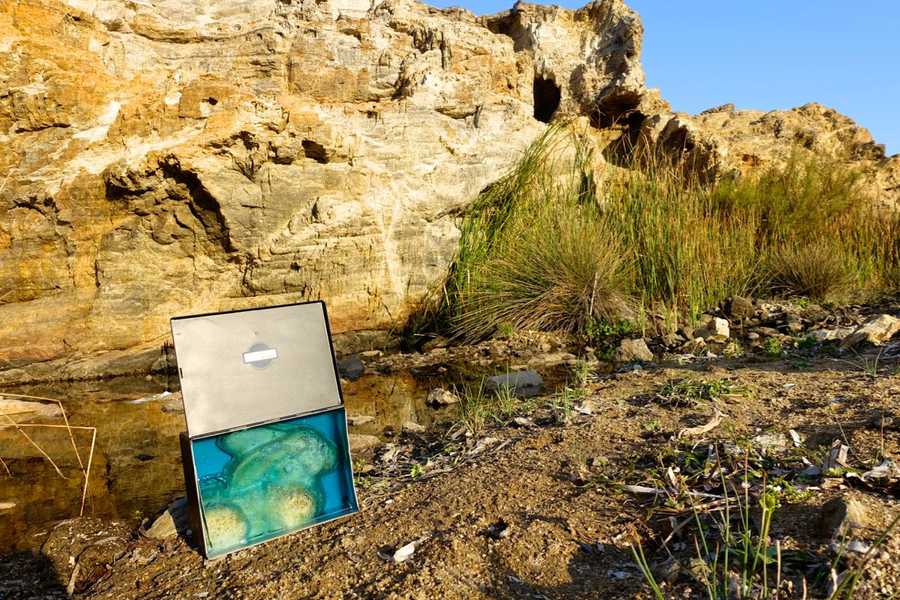 Mykonos Biennale -  -  