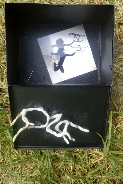 Mykonos Biennale  -  Antidote Box - screen shot