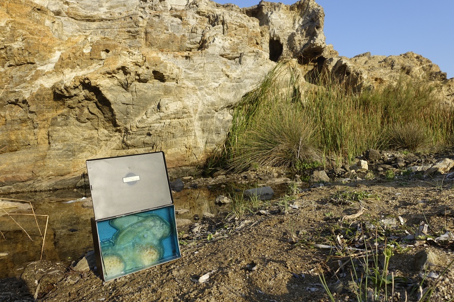 Mykonos Biennale  -  Antidote Box - screen shot