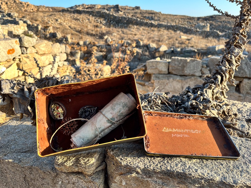Mykonos Biennale  -  Antidote Box - screen shot