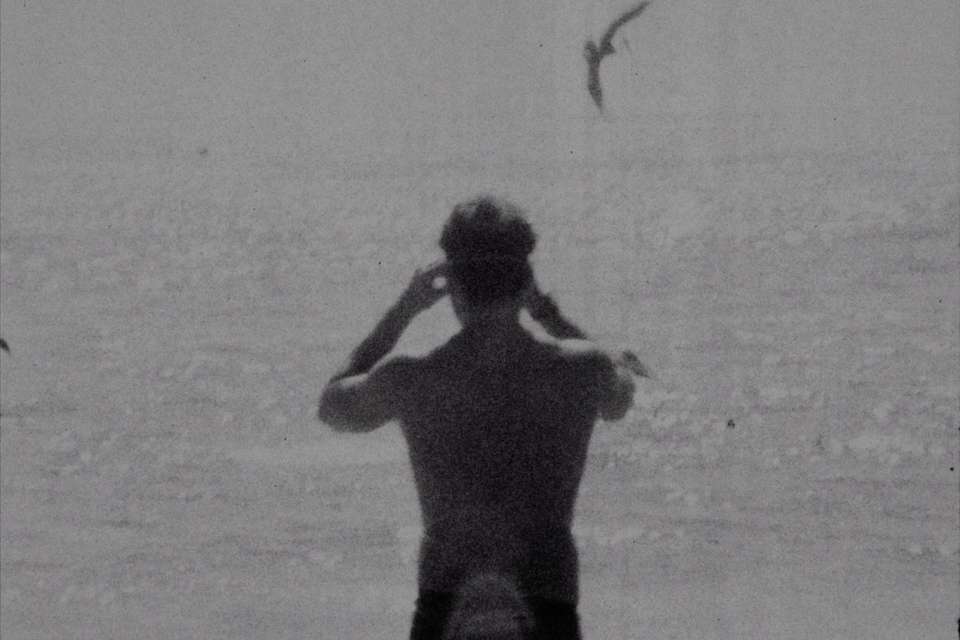Mykonos Biennale 2015 - Film Festival -  I Was a Free Dog 6 - screen shot
