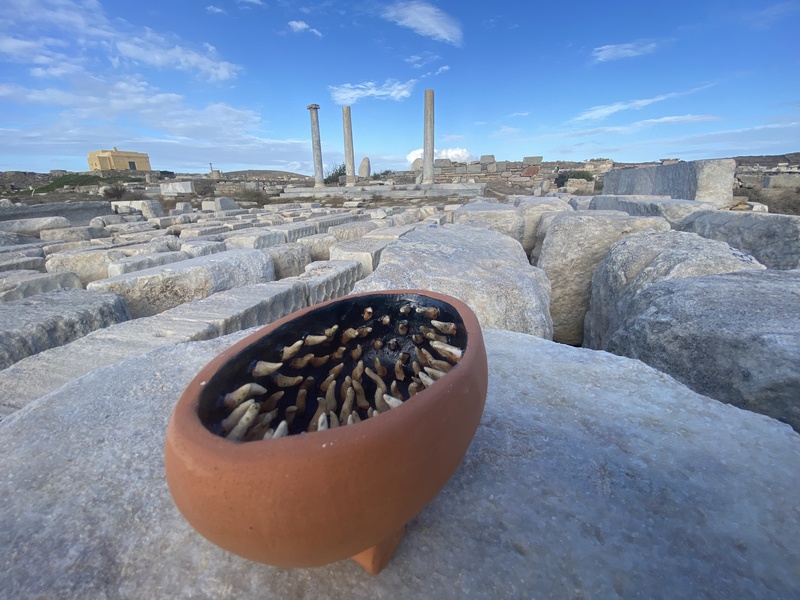 Mykonos Biennale  -  Memorial Tool - screen shot