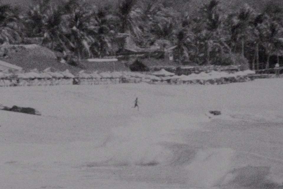 Mykonos Biennale 2015 - Film Festival -  I Was a Free Dog 5 - screen shot