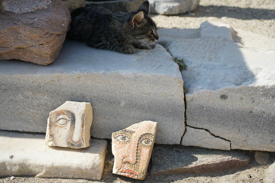 Mykonos Biennale  -  Antidote - screen shot