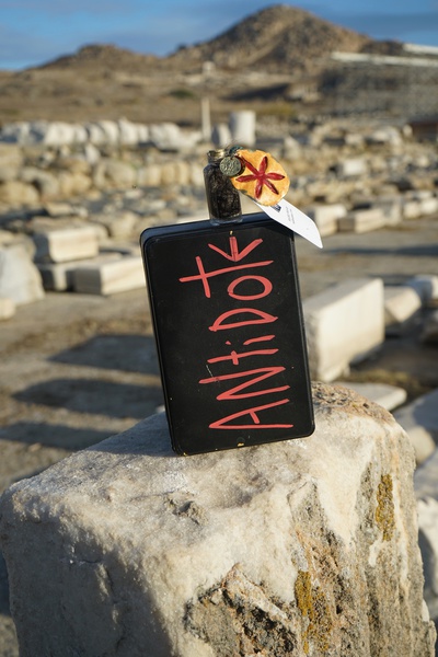 Mykonos Biennale  -  Antidote - screen shot