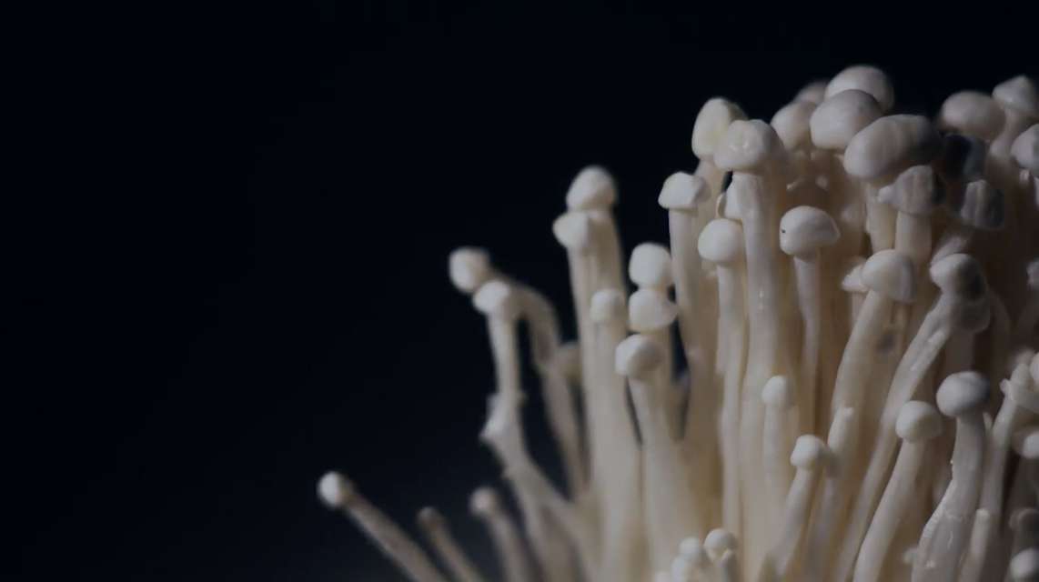 Mykonos Biennale 2015 - Film Festival -  Rain - screen shot