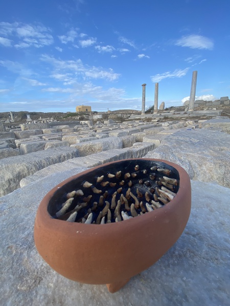 Mykonos Biennale  -  Memorial Tool - screen shot