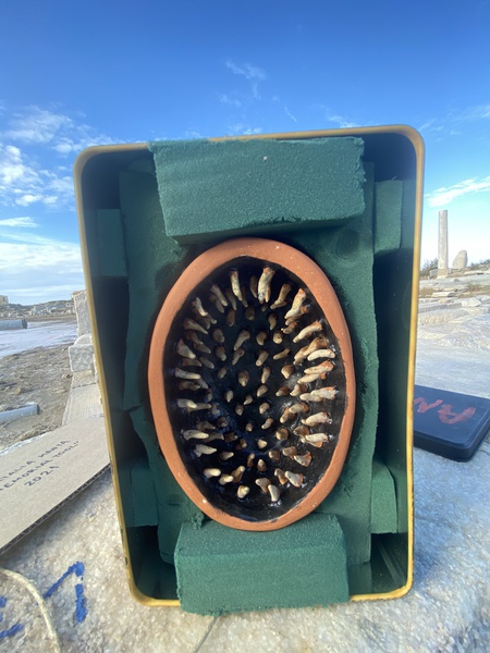 Mykonos Biennale  -  Memorial Tool - screen shot