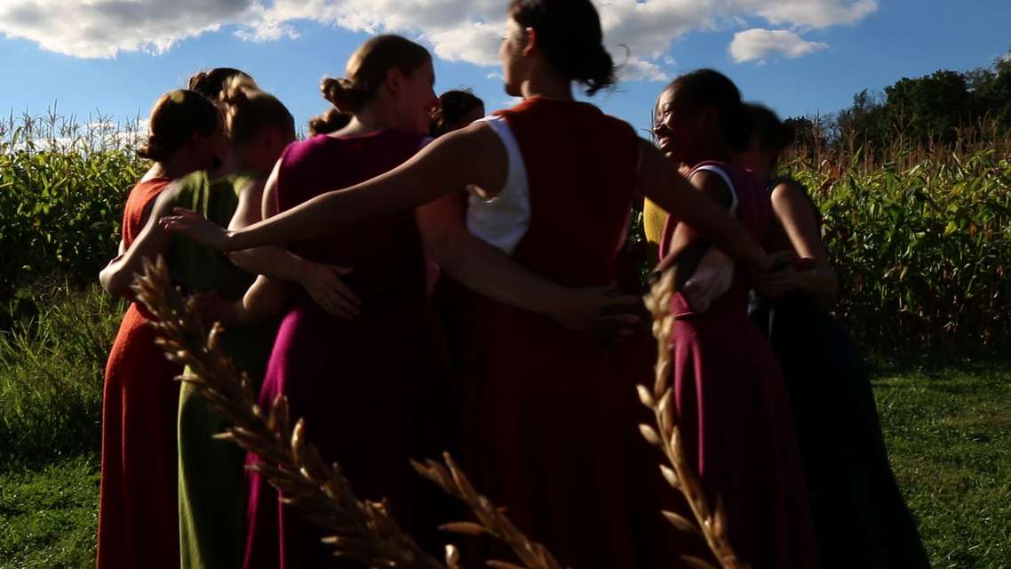 Mykonos Biennale 2015 - Film Festival -  Renzi Corn Circle - screen shot