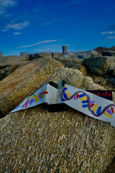 Mykonos Biennale  -  antidote - screen shot
