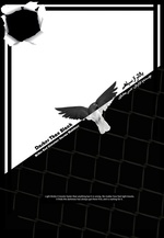 Darker Than Black Poster
